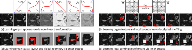 Figure 3 for Models Genesis