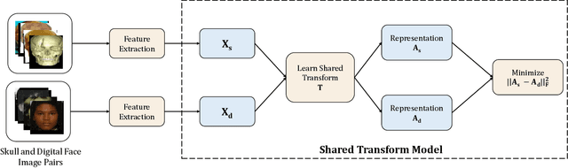 Figure 4 for Learning A Shared Transform Model for Skull to Digital Face Image Matching