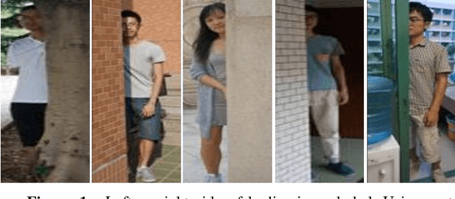 Figure 1 for Omni-directional Feature Learning for Person Re-identification