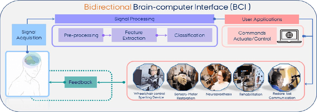 Figure 2 for In the realm of hybrid Brain: Human Brain and AI