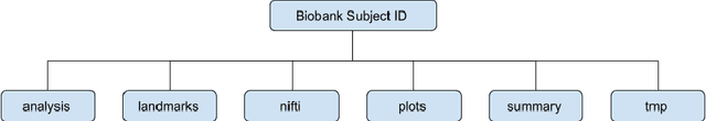 Figure 3 for Image Processing and Quality Control for Abdominal Magnetic Resonance Imaging in the UK Biobank