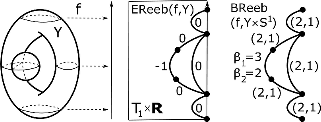 Figure 1 for Book embeddings of Reeb graphs