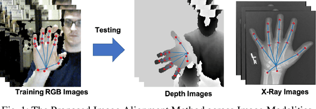 Figure 1 for Image Alignment in Unseen Domains via Domain Deep Generalization