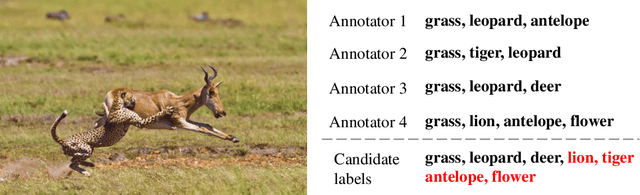 Figure 1 for A Deep Model for Partial Multi-Label Image Classification with Curriculum Based Disambiguation