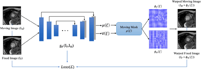 Figure 1 for Unsupervised diffeomorphic cardiac image registration using parameterization of the deformation field