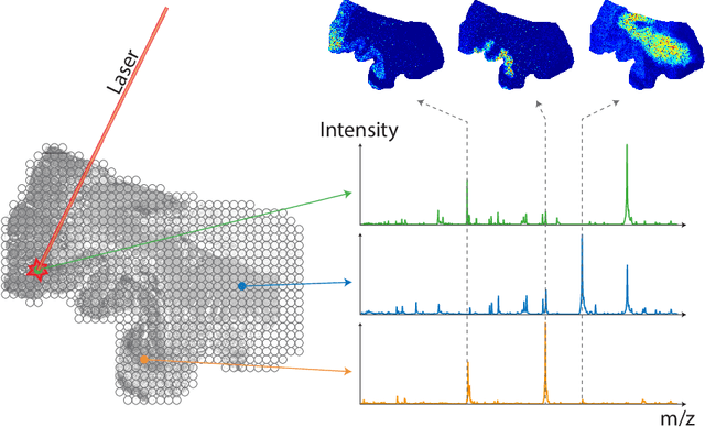 Figure 1 for Spatially Coherent Clustering Based on Orthogonal Nonnegative Matrix Factorization