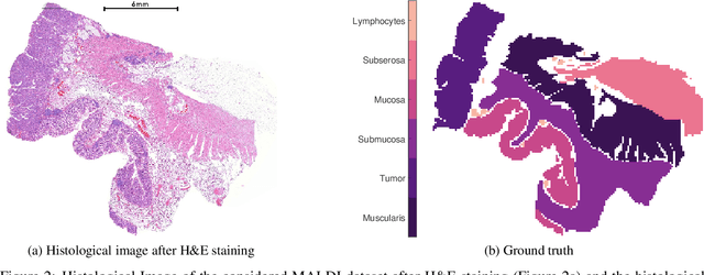 Figure 3 for Spatially Coherent Clustering Based on Orthogonal Nonnegative Matrix Factorization