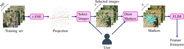 Figure 2 for Learning CNN filters from user-drawn image markers for coconut-tree image classification