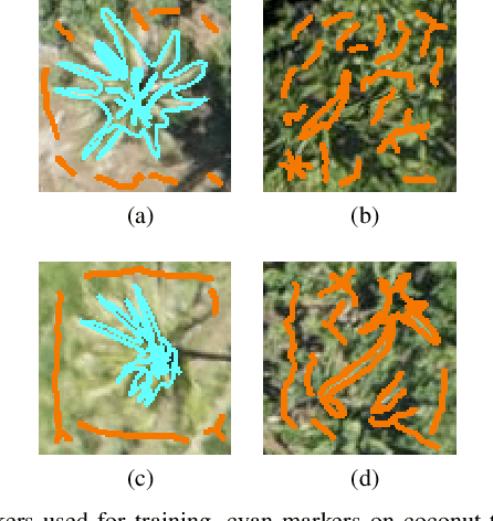 Figure 3 for Learning CNN filters from user-drawn image markers for coconut-tree image classification