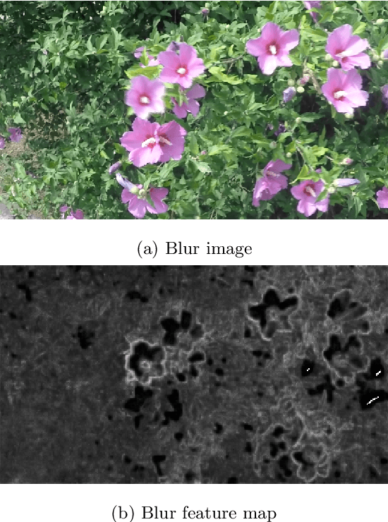 Figure 1 for Blur-Attention: A boosting mechanism for non-uniform blurred image restoration