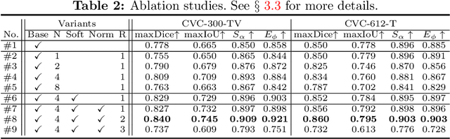 Figure 3 for Progressively Normalized Self-Attention Network for Video Polyp Segmentation