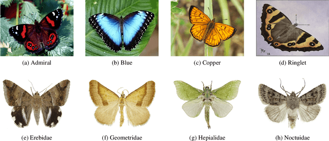 Figure 3 for LOOP Descriptor: Local Optimal Oriented Pattern
