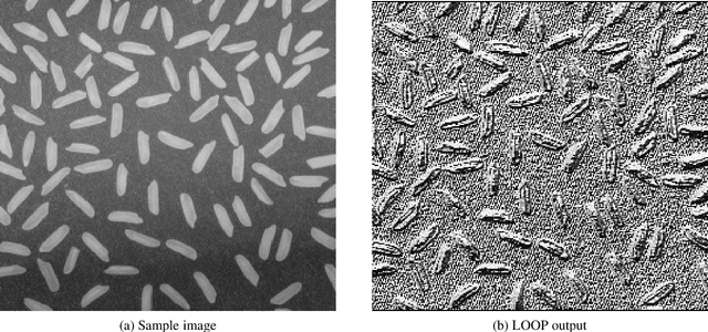 Figure 4 for LOOP Descriptor: Local Optimal Oriented Pattern