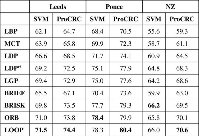 Figure 2 for LOOP Descriptor: Local Optimal Oriented Pattern