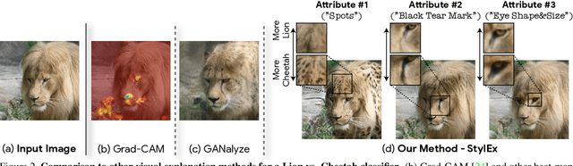 Figure 2 for Explaining in Style: Training a GAN to explain a classifier in StyleSpace