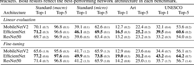 Figure 4 for Turath-150K: Image Database of Arab Heritage