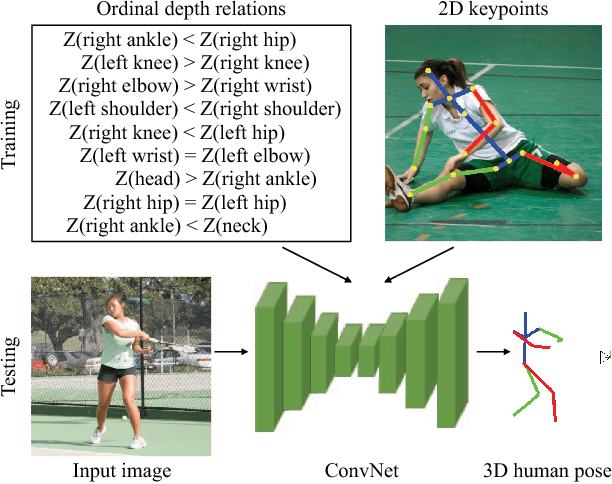 Figure 1 for Ordinal Depth Supervision for 3D Human Pose Estimation