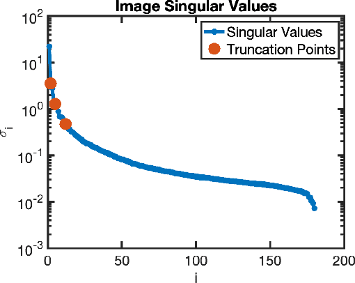Figure 4 for A Memory-Efficient Dynamic Image Reconstruction Method using Neural Fields