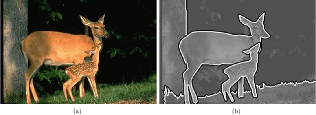 Figure 1 for Early recurrence enables figure border ownership