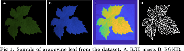 Figure 1 for A Deep Learning Generative Model Approach for Image Synthesis of Plant Leaves