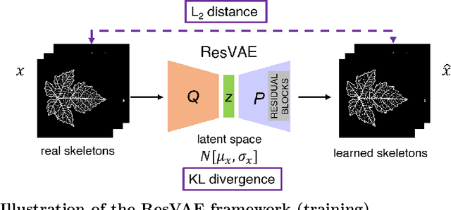 Figure 2 for A Deep Learning Generative Model Approach for Image Synthesis of Plant Leaves