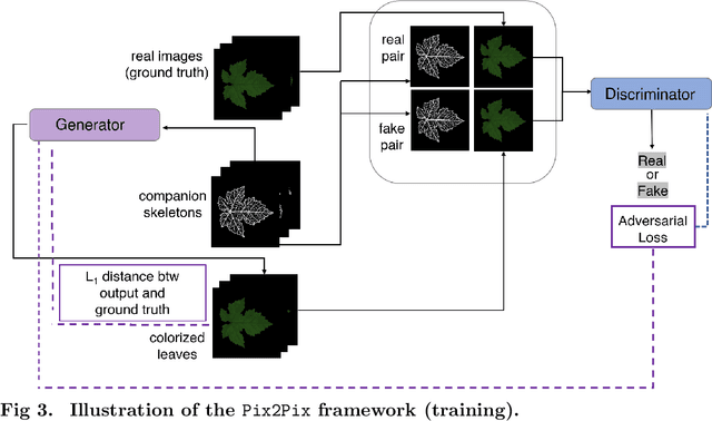 Figure 3 for A Deep Learning Generative Model Approach for Image Synthesis of Plant Leaves