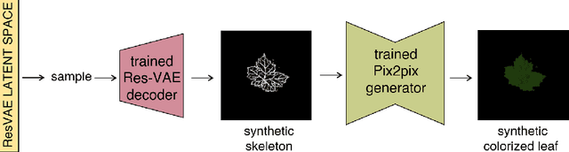 Figure 4 for A Deep Learning Generative Model Approach for Image Synthesis of Plant Leaves