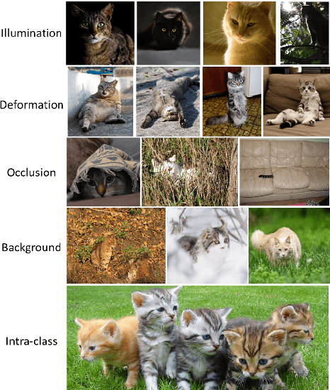 Figure 4 for A Comprehensive Survey of Image Augmentation Techniques for Deep Learning