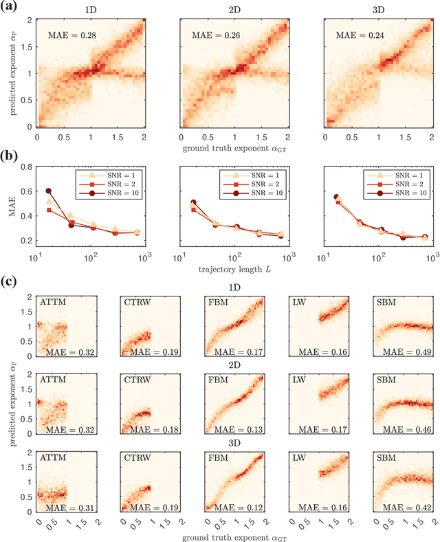 Figure 3 for Extreme Learning Machine for the Characterization of Anomalous Diffusion from Single Trajectories