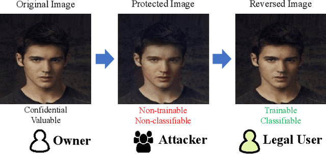 Figure 1 for Invertible Image Dataset Protection