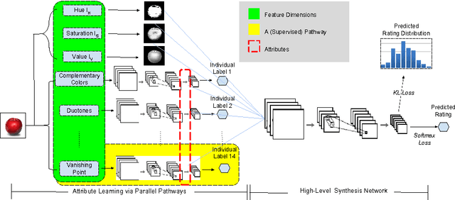 Figure 1 for Brain-Inspired Deep Networks for Image Aesthetics Assessment