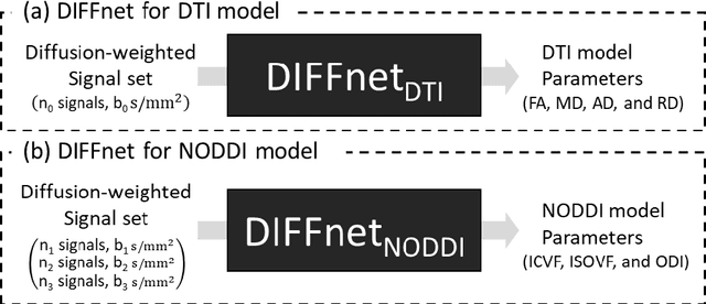 Figure 1 for DIFFnet: Diffusion parameter mapping network generalized for input diffusion gradient schemes and bvalues