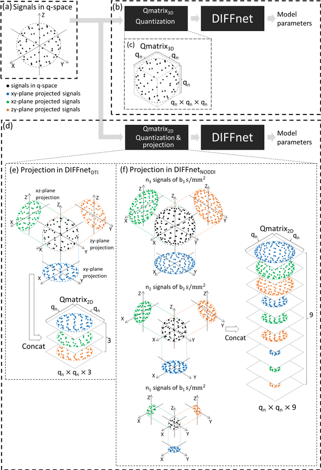 Figure 3 for DIFFnet: Diffusion parameter mapping network generalized for input diffusion gradient schemes and bvalues