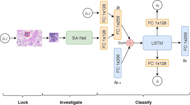 Figure 1 for Look, Investigate, and Classify: A Deep Hybrid Attention Method for Breast Cancer Classification
