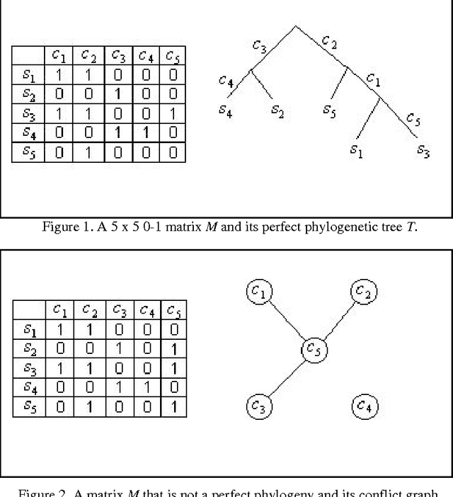 Figure 1 for The Largest Compatible Subset Problem for Phylogenetic Data