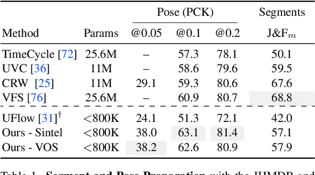 Figure 2 for Learning Pixel Trajectories with Multiscale Contrastive Random Walks