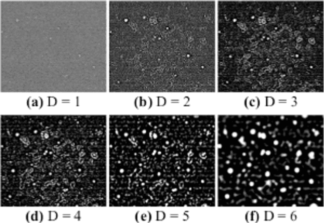 Figure 4 for Segmentation of scanning electron microscopy images from natural rubber samples with gold nanoparticles using starlet wavelets