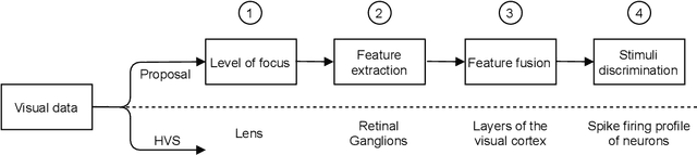 Figure 1 for Neuro-inspired edge feature fusion using Choquet integrals