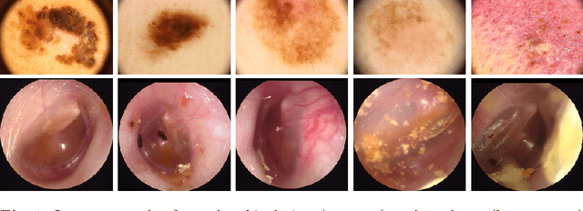 Figure 1 for Was that so hard? Estimating human classification difficulty