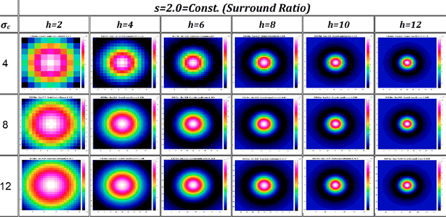 Figure 3 for Vis-CRF, A Classical Receptive Field Model for VISION