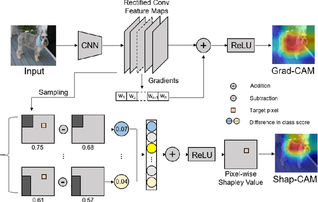 Figure 1 for Shap-CAM: Visual Explanations for Convolutional Neural Networks based on Shapley Value