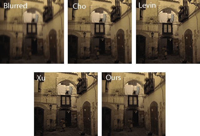 Figure 3 for Blind Deconvolution with Non-local Sparsity Reweighting