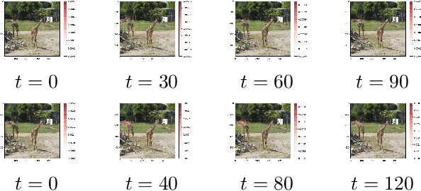 Figure 3 for DPAttack: Diffused Patch Attacks against Universal Object Detection