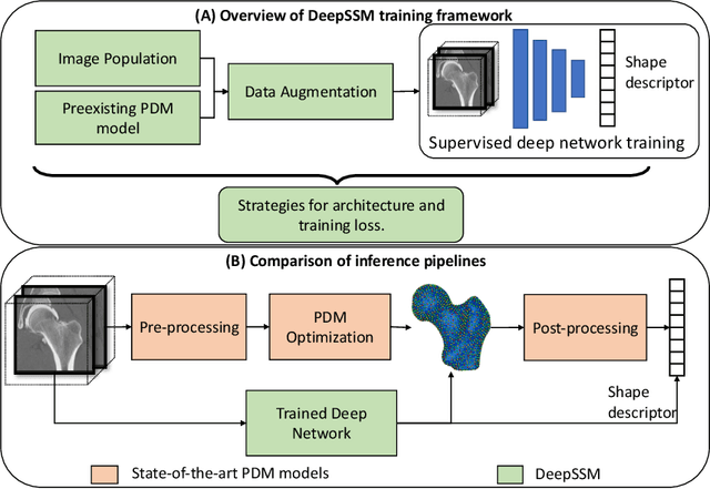 Figure 1 for DeepSSM: A Blueprint for Image-to-Shape Deep Learning Models