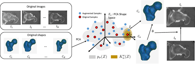Figure 3 for DeepSSM: A Blueprint for Image-to-Shape Deep Learning Models