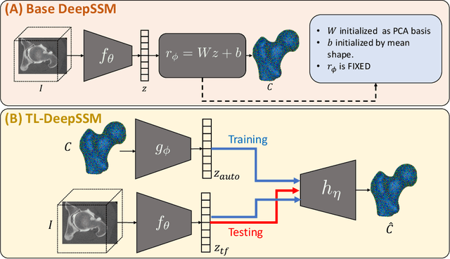 Figure 4 for DeepSSM: A Blueprint for Image-to-Shape Deep Learning Models