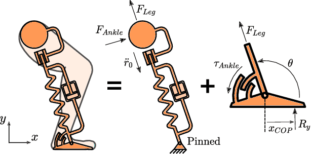 Figure 2 for Ankle Torque During Mid-Stance Does Not Lower Energy Requirements of Steady Gaits