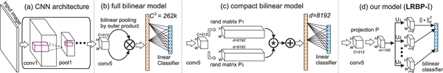 Figure 1 for Low-rank Bilinear Pooling for Fine-Grained Classification