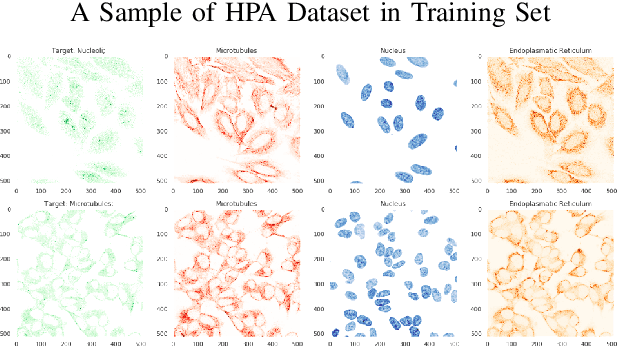 Figure 1 for Extracting Cellular Location of Human Proteins Using Deep Learning
