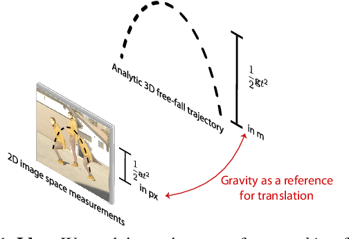 Figure 1 for Gravity as a Reference for Estimating a Person's Height from Video